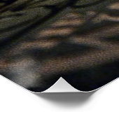 Lesen Sie meinen Geist, Katzen-Poster Poster (Ecke)