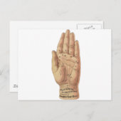 Lesen von Palmen Postkarte (Vorne/Hinten)