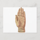 Lesen von Palmen Postkarte (Vorderseite)