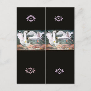 Lesezeichen der Möwen bekämpfen Postkarte