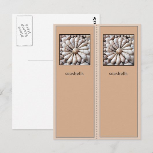 Lesezeichen hübsch Muscheln Postkarte (Vorne/Hinten)