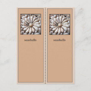 Lesezeichen hübsch Muscheln Postkarte