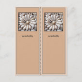 Lesezeichen hübsch Muscheln Postkarte (Vorderseite)