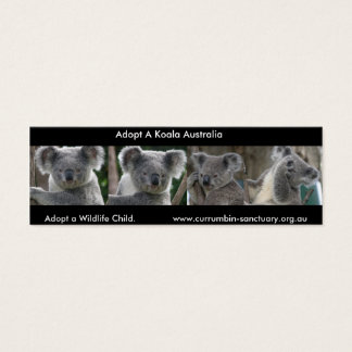 Lesezeichen Koalas Adoptierte ein Wildlife Child A