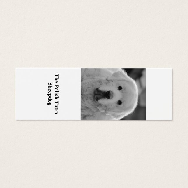 Lesezeichen Polnischer Tatra Sheepdog Welpe (Vorderseite)