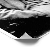 Leslie Stephen, 1900 Poster (Ecke)