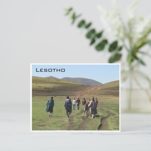 Lesotho Shepherds Postkarte (Stehend Vorderseite)