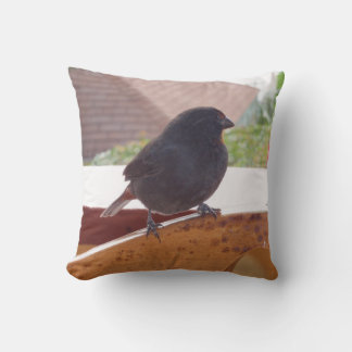 Lesser Antillean Bullfinch Kissen