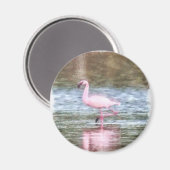 Lesser Flamingo Watercolor Magnet (Vorderseite/Rückseite)