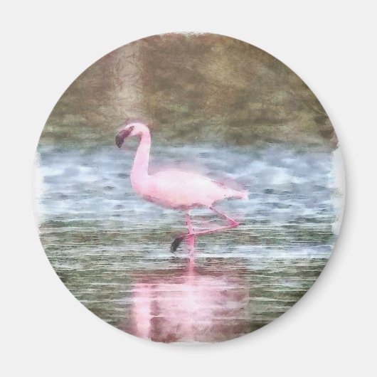 Lesser Flamingo Watercolor Magnet (Vorne)