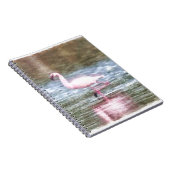 Lesser Flamingo Watercolor Notizblock (Rechte Seite)