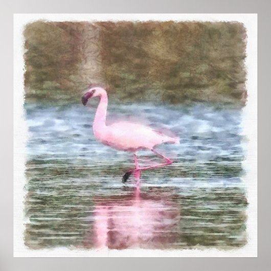 Lesser Flamingo Watercolor Poster (Vorne)