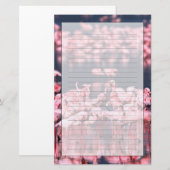 Lesser Flamingos (Phoeniconaias minor), Afrika, Briefpapier (Vorne/Hinten)