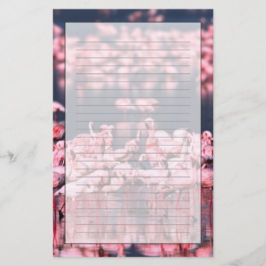 Lesser Flamingos (Phoeniconaias minor), Afrika, Briefpapier (Vorderseite)
