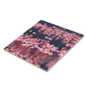 Lesser Flamingos (Phoeniconaias minor), Afrika, Fliese (Seite)