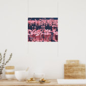 Lesser Flamingos (Phoeniconaias minor), Afrika, Poster (Küche)