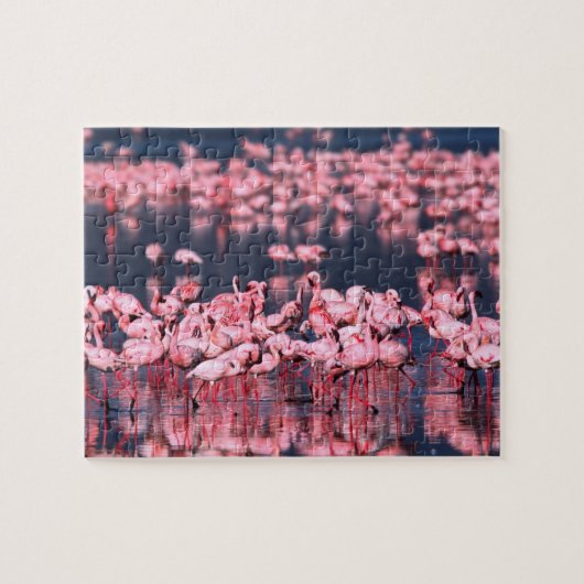 Lesser Flamingos (Phoeniconaias minor), Afrika, Puzzle (Horizontal)