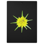 Lesser Goats-beard Wild Flower Clipboard Klemmbrett (Rückseite)