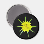 Lesser Goats-beard Wild Flower Magnet (Vorderseite/Rückseite)