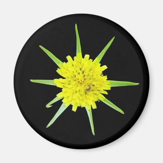 Lesser Goats-beard Wild Flower Magnet (Vorne)