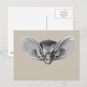 Lesser-Langstrumpf Postkarte (Vorne/Hinten)