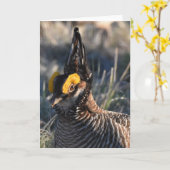 Lesser Prairie Chicken Karte (Gelbe Blume)