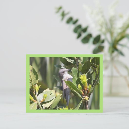 Lesser Whitethroat Postkarte (Stehend Vorderseite)