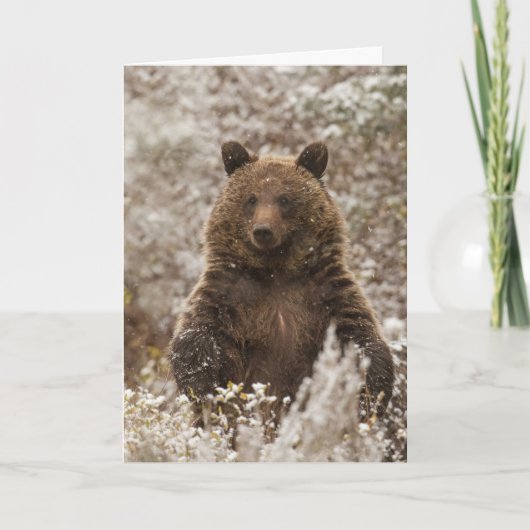 "Let it Snow"-Urlaubskarte Karte (Vorderseite)