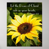 Let the Peace of Christ rule Poster (Vorne)