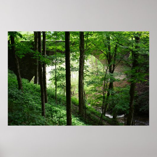 Letchworth Bridge Green Forest 36" x 24" Poster (Vorne)