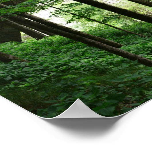 Letchworth Bridge Green Forest Poster (Ecke)