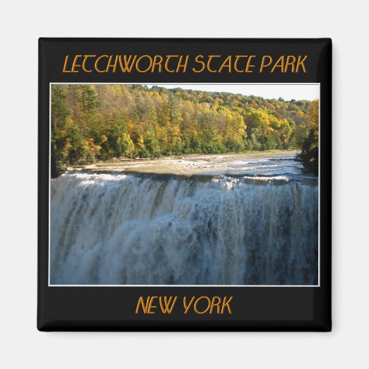 Letchworth Staat Park Middle Falls Magnet (Vorne)
