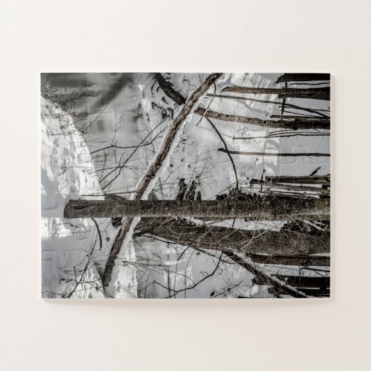 Letchworth Staat Park Snow Naturel Winter Puzzle (Horizontal)