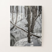 Letchworth Staat Park Snow Naturel Winter Puzzle (Vertikal)