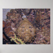 Lethal Stonefish Poster (Vorne)