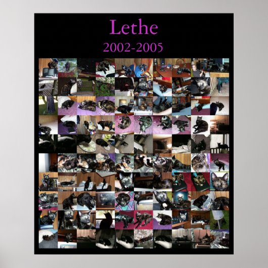 Lethe Poster (Vorne)