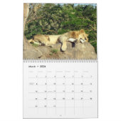 Let's Go Wild - Wild Animal Calendar (Ausgabe 1) Kalender (Mär 2026)