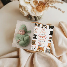 Let's Pawty Cat 5th Birthday | photo Birthday Kid Einladung