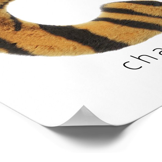 Letter-C-Tiger Poster (Ecke)