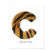 Letter-C-Tiger