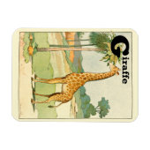 Letter G for Giraffe Magnet (Horizontal)