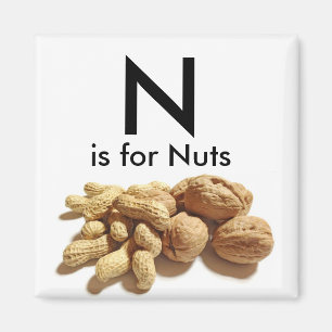 Letter N ist für Nuts Children's Mangets Magnet