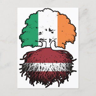 Lettisch Irish Ireland Tree Roots Flag Postkarte