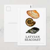 Lettische Küste - Seashell Postcard Postkarte (Vorne/Hinten)