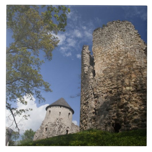 Lettland, Nordostletland, Region Vidzeme, Fliese (Vorderseite)