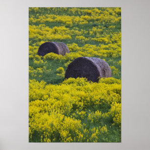 Lettland, Nordostletland, Region Vidzeme, Poster