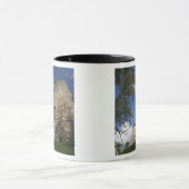 Lettland, Nordostletland, Region Vidzeme, Tasse (Zentrum)