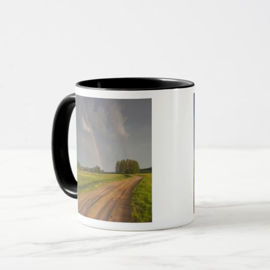 Lettland, Nordostletland, Vidzeme Region, 4 Tasse (Vorderseite Links)