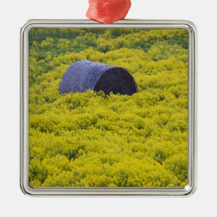 Lettland, Nordostletten, Vidzeme Region, 2 Silbernes Ornament