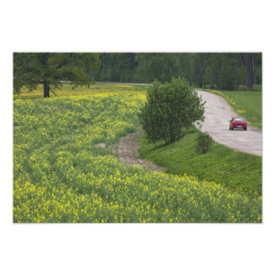 Lettland, Nordostlettland, Region Vidzeme, Fotodruck